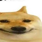 bodawae1's profile picture. 