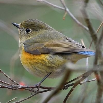 humbleservant47's profile picture. 理不尽な世論に対する独り言アカウント。メディア、皇室問題に疑問あり。政治芸能も好き嫌い多々あり。
無言フォローすみません。
気になるツイートにはRTやコメントなどさせていただきます。
理解し合え無さそうなリプライにはお返事いたしません悪しからず。