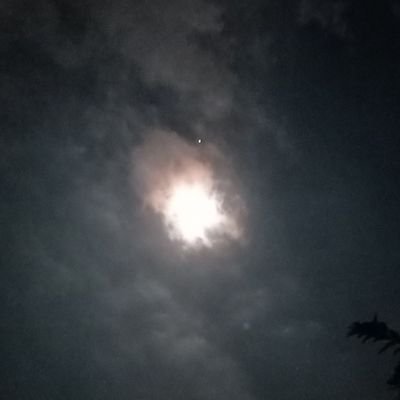 Witing tresna jalaran saka kulina. Witing mulya jalaran wani rekasa.