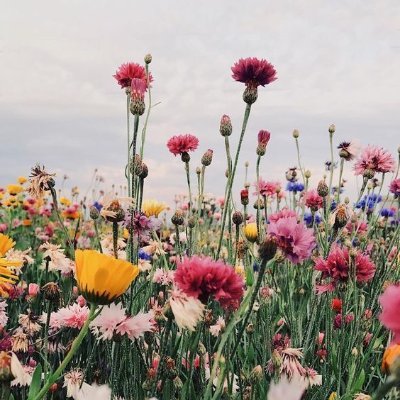callmebyjosephさんのプロフィール画像