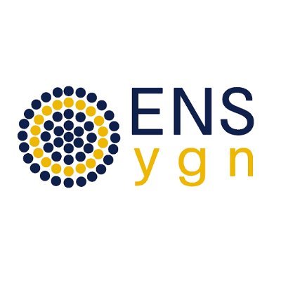 ens_ygn Profile Picture