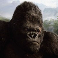 The Alpha Ape(@TheAlphaApe) 's Twitter Profileg