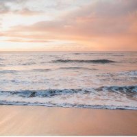 Hajar Almoajil (@hajaralmoajil) 's Twitter Profile