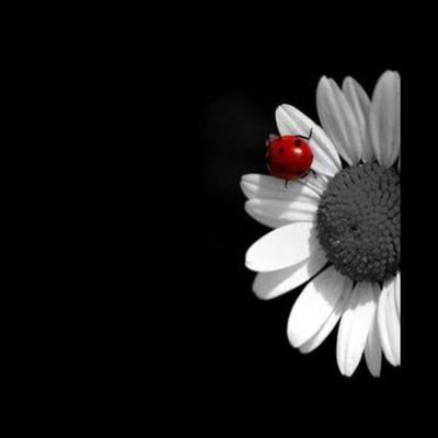 Demsal56261424's profile picture. AMPULÜ KAPATIN
AMPULÜ GÜNEŞ YETER 🕊️🌞