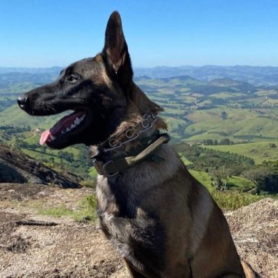 rodrigonrocha's profile picture. Poker player and Atlético Mineiro fan!