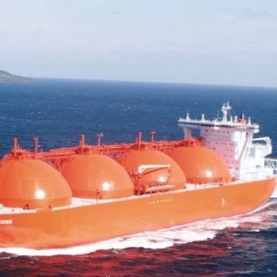 FewsterPopo's profile picture. 