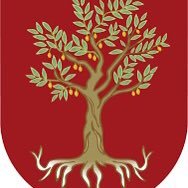 Being born an olive doesn't mean you'll automatically grow to be a strong tree (paraphrasing J.K. Rolling)_______________
{no photo/details= no doxing/swatting}