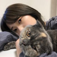 あきの (@akino333) 's Twitter Profile