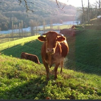 Viva o Mundo RURAL. Convivencia coas Cidades!!