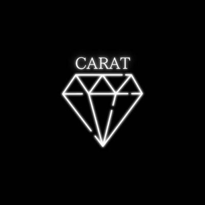 13人を愛するCARAT│メモ*いいね*RP│マイペースに好きな事だけ│🍒👼🏻🦌🐱🐯🦊🍚🐸🐶🍕🍊🐻‍❄️🦖│避難用@pyoru0526_