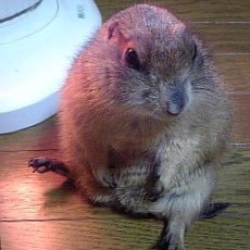 grayhimechan's profile picture. EXITに出逢えてめっちゃラッキー✨そこから広がったたくさんの縁に感謝😊今が楽しくて幸せで近くにいてくれるみんなにありがとう🌸