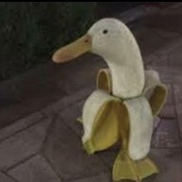Mushroomboyx (@xmushroomboyx) 's Twitter Profile