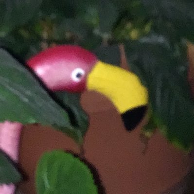 SomePerson_0's profile picture. User is 21, account only used for viewing purposes.