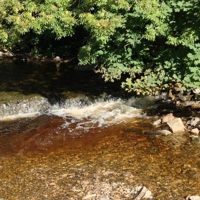 Graftern's profile picture. 