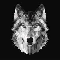 Aarav Patel (@aaravwol) 's Twitter Profile