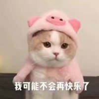 GGG (@vurtng) Twitter profile photo