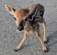 motazelfnn's profile picture. 