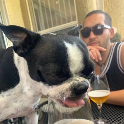smushy-faced dog enthusiast • proprietor of #totc2022 best 🇺🇸 cktl bar nominee @jammylandLV • permanently disabled barman • aspiring writer • aka @DJkilldevil