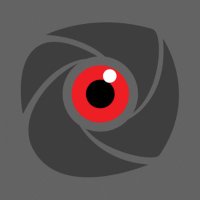 pokerstaples (@pokerstaples) 's Twitter Profile