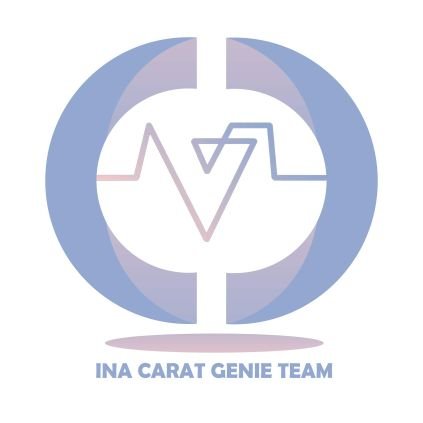 #SEVENTEEN Genie streaming team based on Indonesia || dedicated to @pledis_17