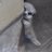 Dさんの○○部屋のアイコン