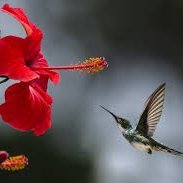 Monali56895840's profile picture. ...........