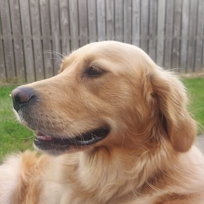 Aoiferosemary's profile picture. 