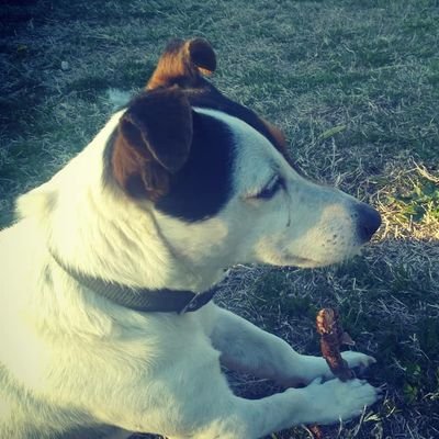kuzeyseri's profile picture.