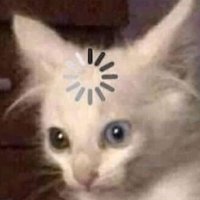 mintko (@m1ntko) 's Twitter Profile