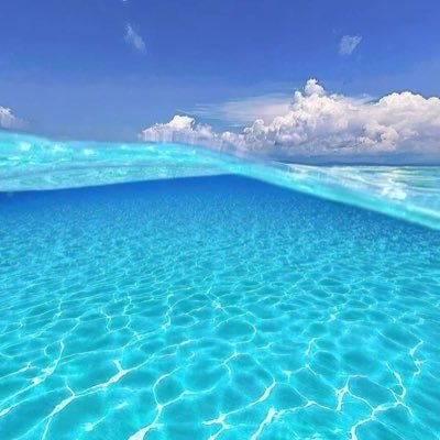 JeffTiti11's profile picture. Wonderful charming social generous fun