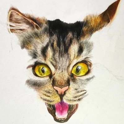杠葉さんのプロフィール画像