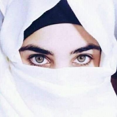 fngk0's profile picture. 🌛‏..ن میرا جنون..🌜


سو باتوں کی ایک بات فالو کرکے ڈی ایم کریں فالو بیک دیا جائے گا
