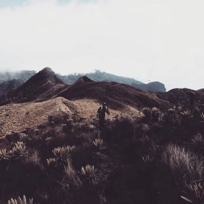 Alejosaenz242's profile picture. Me encanta viajar por el mundo 🌍            Desarrollador 💻