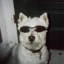 Jerry Olson - @bonddog - Twitter