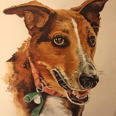 Charlie's Animal Rescue Centre (@careshelterblr) / Twitter Charlie's Animal Rescue Centre (@careshelterblr) / Twitter