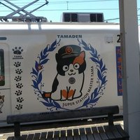 saya☆まつげ屋さんオーナー (@0710_leo) 's Twitter Profile Photo saya☆まつげ屋さんオーナー (@0710_leo) 's Twitter Profile Photo
