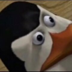 dbsd372's profile picture. Hello bitch