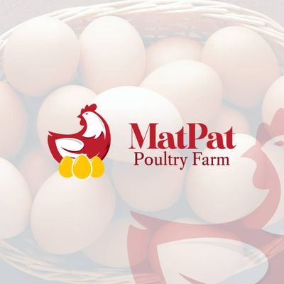 We always have the best taste,Best diet and the best eggs 🥚 and chicken 🐔     IG:@matpatpoultryfarm     FB:@matpatfarmsgh  📞0509739092 📱0553044227