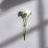 goaway__you's profile image