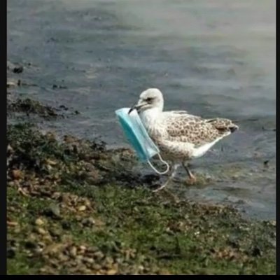 SomethingAbbey's profile picture. The more I learn~
The less I know