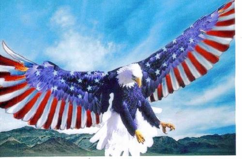 LocalAgent's profile picture. 