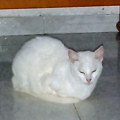 Dory01Dory's profile picture. Docente. Amo la historia y la filosofia.