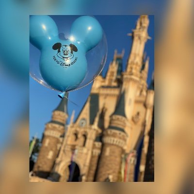 Disneyが好きです♡
色々知りたいのでTwitterはじめました！
最近はあまり行けなくなってしまいましたが、ディズニーで美味しかった物🍴発見した事🌟好きな場所👣などつぶやきます！良かったらフォロー、RTお願いします(*⁰▿⁰*)
たまにWDWも行きます！
Disney cruise lineには一度だけ♡