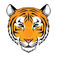 Southside Tigers (@tigernewsscps) 's Twitter Profile