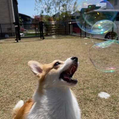 sky_tha's profile picture. 禁酒・禁煙🚭、唐揚げとチャーシュー売ってます。最近のブームは林SPFポーク。note始めました。