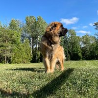 shanbarra 🇨🇦 (@shanbarra) 's Twitter Profile