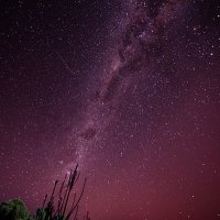 Sebastian Prim (@sebprim) 's Twitter Profile