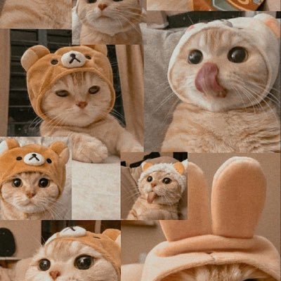 qikamaemira's profile picture. people w negative vibes out