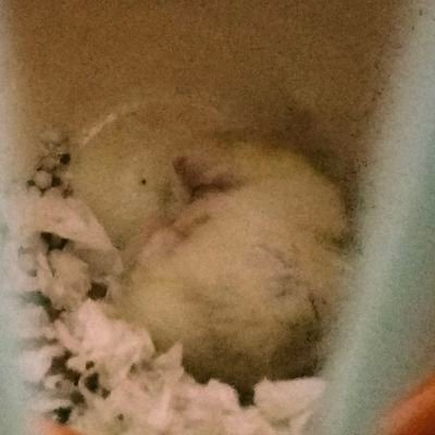 lleilinh's profile picture. 20|👹🌪️❌🔃|🕶️🌳❌🔃|