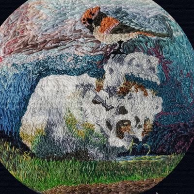 feralartsさんのプロフィール画像